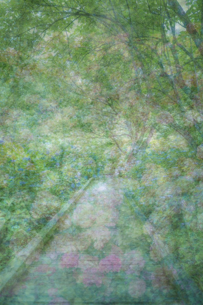 Creating art is my Nepenthe.

Spring garden captured in Kyoto, Japan last year.

#expressionistphotography #expressionist #expressionistart #springart #bloominggarden #painterlyphotography #painterlyphotos #kyotoart