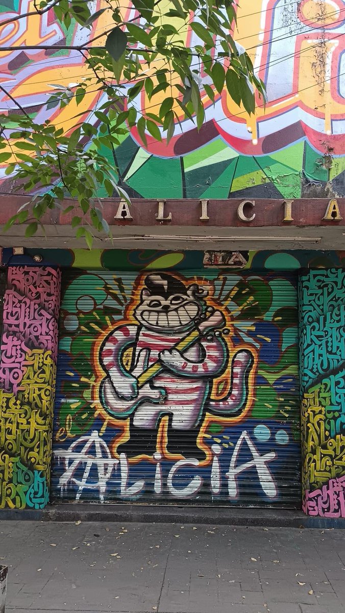 Multiforo Alici@ tweet media