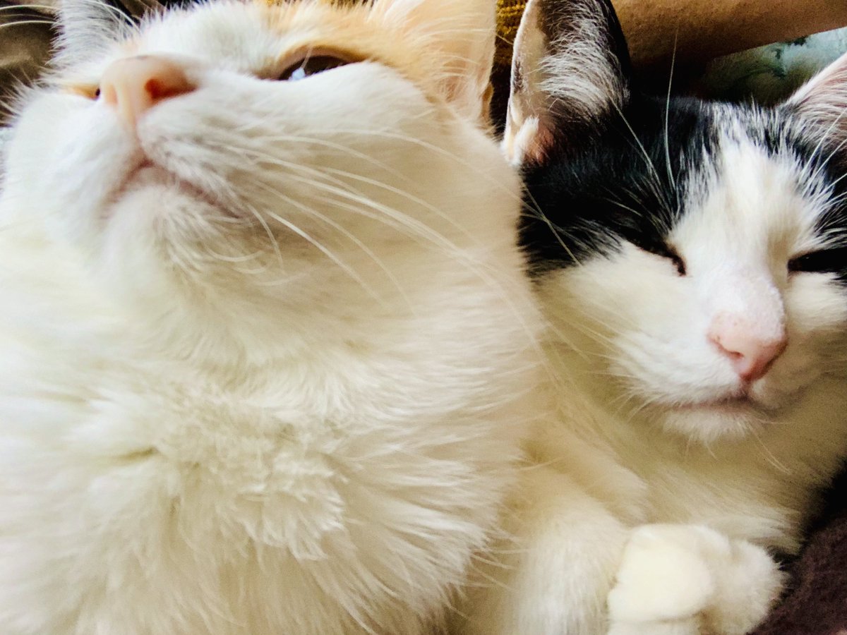 正月はイカゲームを一気見しました。貧乏や人を陥れたりとかマイナスの心理描写すげえなと感心してたら終盤出てきた金持ちどもが絵に描いたようなありがちなヤツでその解像度の違いが面白かったです。イ・ビョンホンがエロスで良かった。