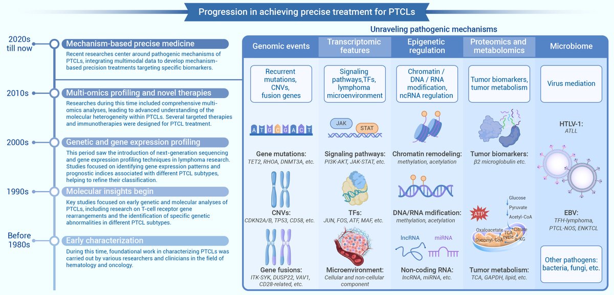 Innov_Medicine's tweet photo. Precise diagnosis and treatment for peripheral T-cell lymphomas: From pathogenic mechanisms to innovative approaches @Innov_Medicine @The_InnovationJ 

Diving Deep into PTCLs: A New Review! Uncover the complexities of Peripheral T-cell lymphomas – their heterogeneity & low chemo-sensitivity. Discover how multi-omics studies are unlocking pathogenic secrets & paving the way for innovative treatments.
https://t.co/qBbtGYcyG8