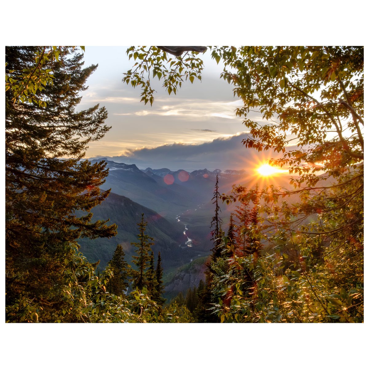 Montana