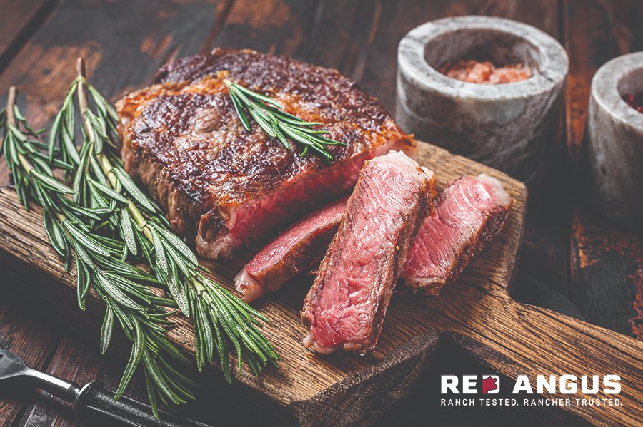 RedAngusAmerica's tweet photo. "The RAAA board believes the breed makeup & DNA inside the retail package should match the Angus label on the outside,& has been in discussions with the USDA."
Read more from BOD member Craig Bieber in this month's magazine: https://t.co/dl25VnU0uv
#redangus #eatbeef #brandedbeef https://t.co/ZSROQ1qXbY