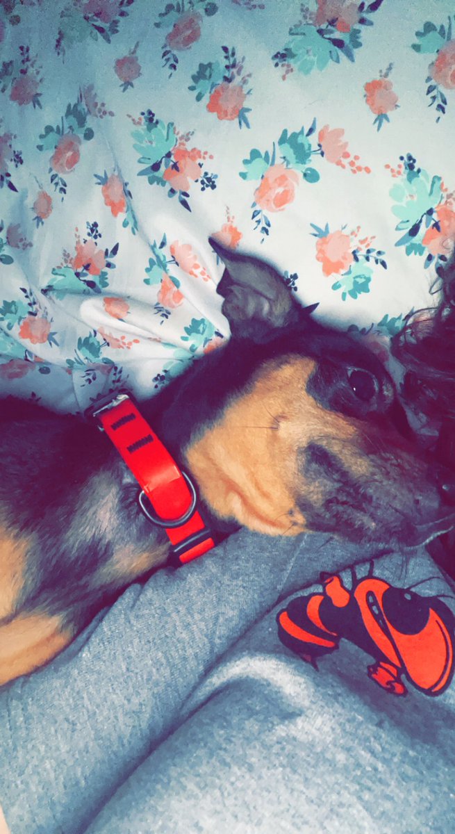 rilee yates tweet media