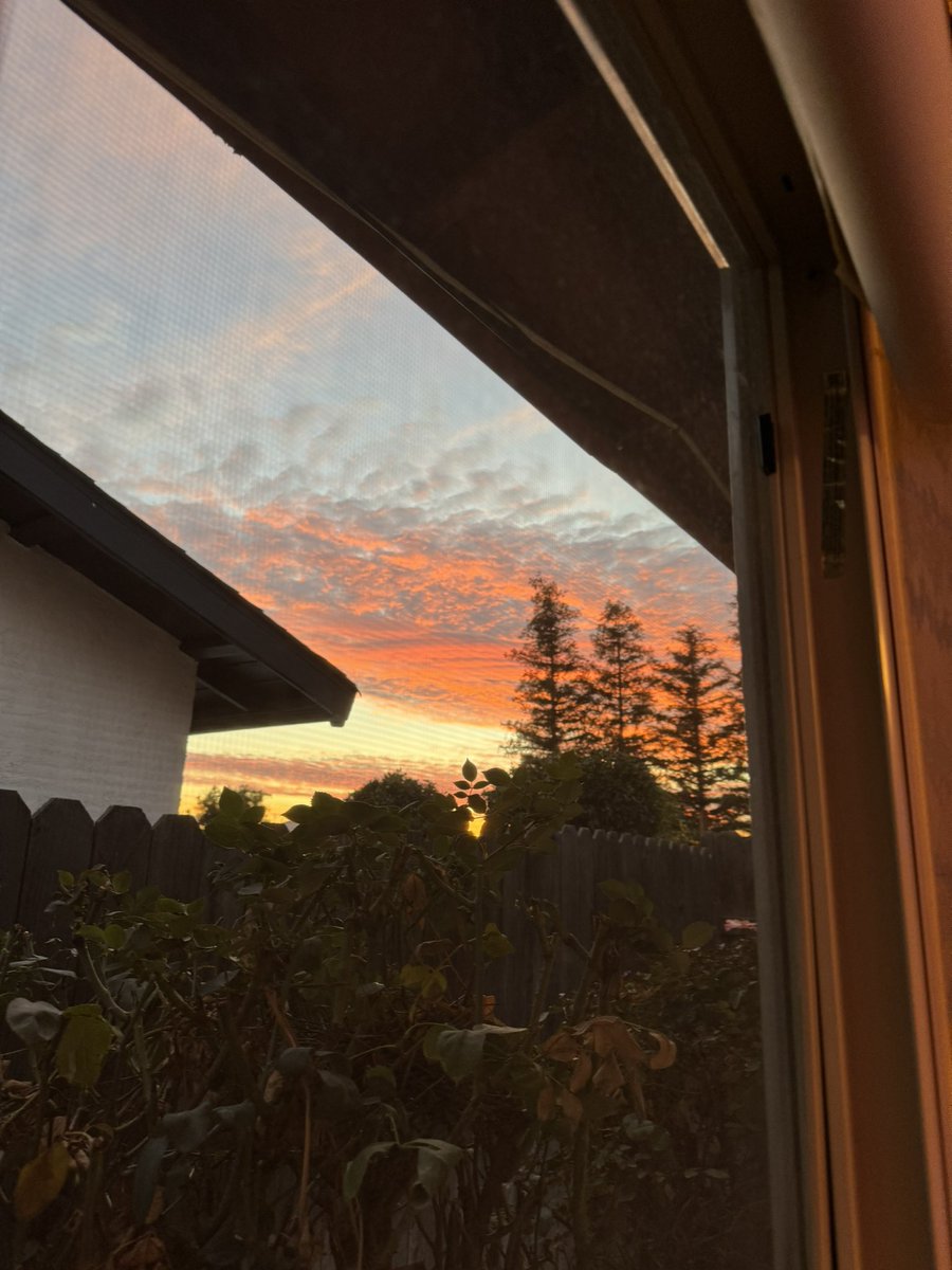 EZZMOOOO's tweet photo. Fav part of the day https://t.co/BNcVMMm5yx
