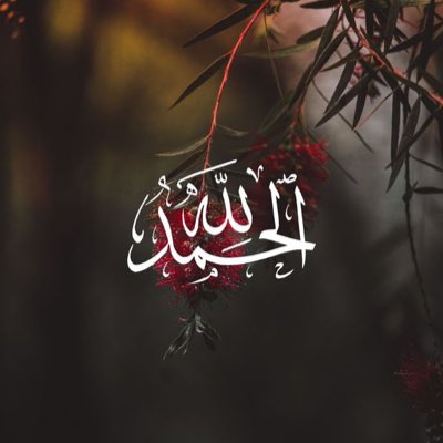 bh14033's tweet photo. #صورة_جديدة_للملف_الشخصي https://t.co/PiZDn9XQ11