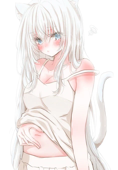 お正月太りが気になる白ネコちゃん