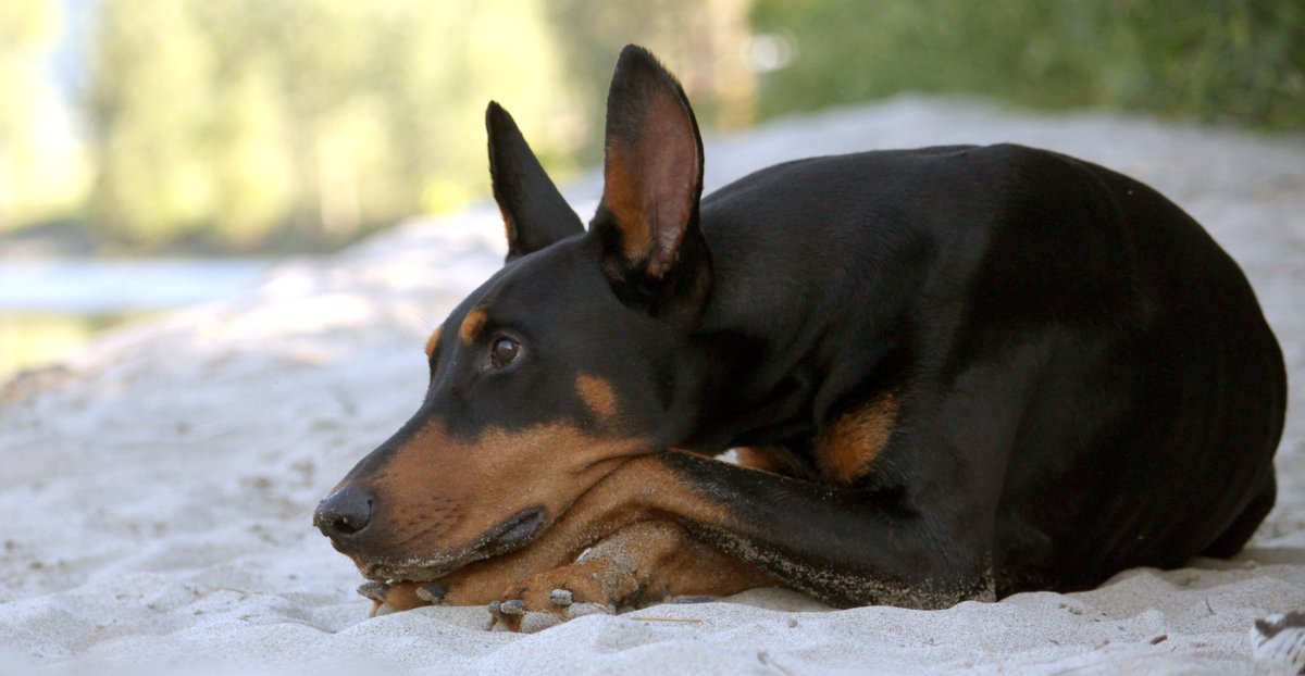 Alpha_TJ 🇨🇦 (ἄλφα) 🚴‍♂️ tweet media