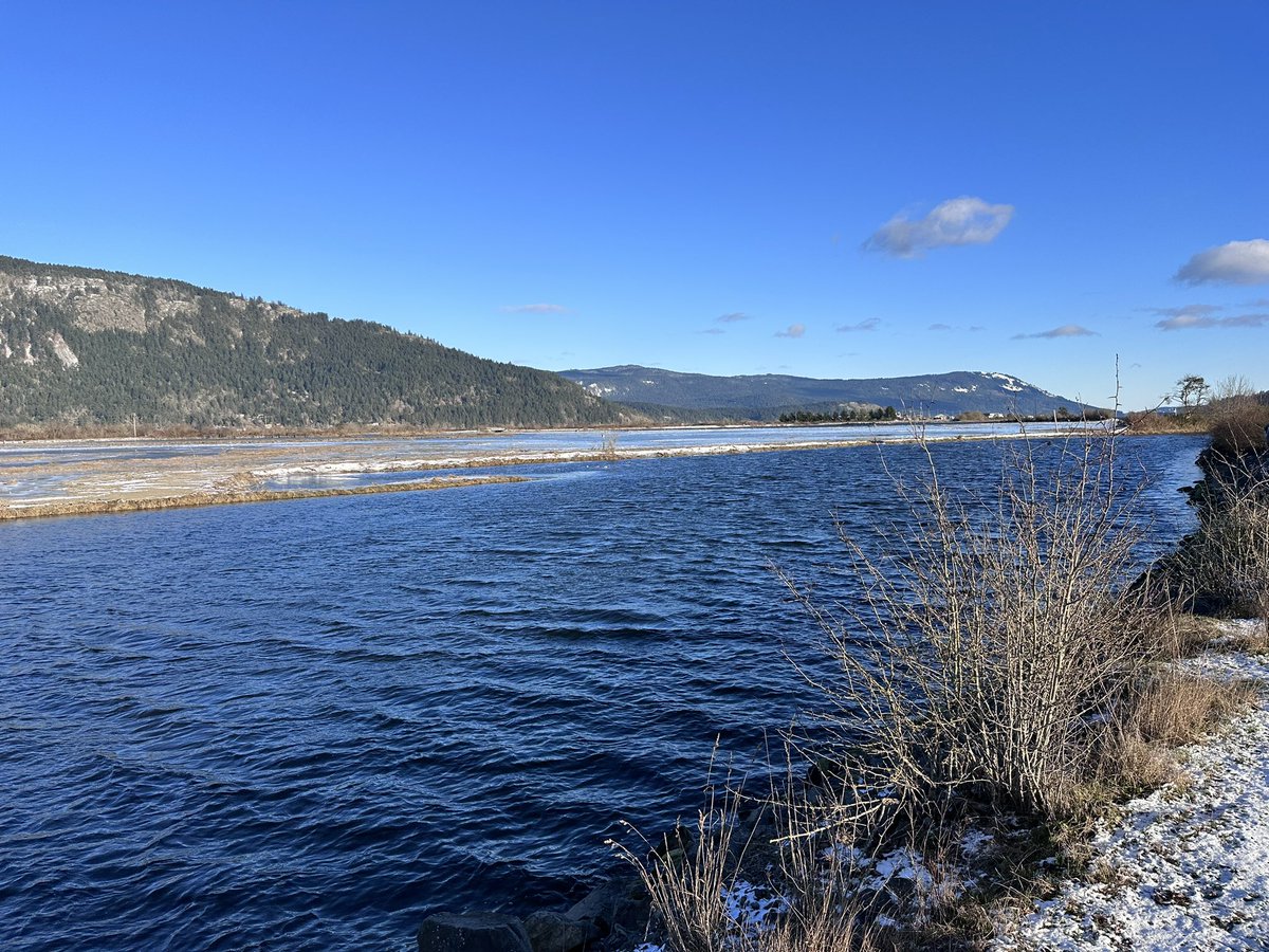 A cold & beautiful day as we begin our project applying a Quw’utsun food systems lens to restoration of the Cowichan Bay Estuary with @NatureTrustofBC & Cowichan Tribes. We also welcome new Masters student Nava Sachs who will be working on this project. indigenousecology.com/team/nava-sach……