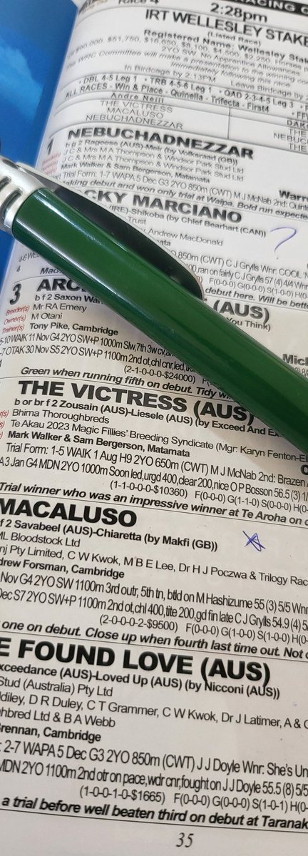 KiwiMamaBear's tweet image. Got a last minute invitation...win or lose, its always a good day at the races. #Trentham #UpperHutt