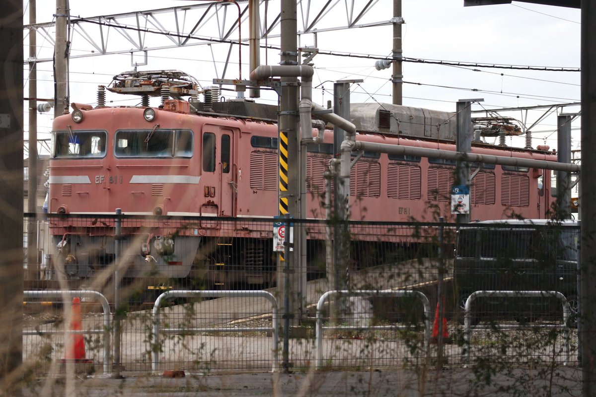 TR91 tweet media