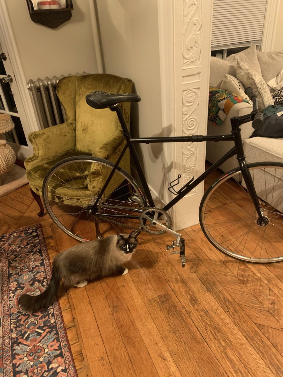 BikingJapan's tweet photo. https://t.co/FCIuerMshD
$350 どうしたの?
#Bicycle #Bike #FixedGear #FixedGearBicycle #FixedGearBike #サイクリング
#FixedGearBicycle https://t.co/GJnYXq5bAi