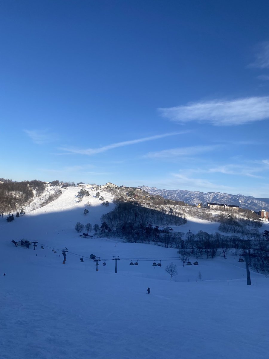 Japan powder 🤤🏂