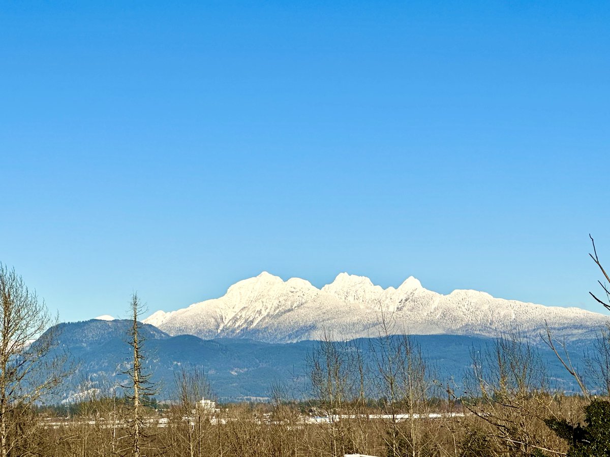 The views of the mountains today were beautiful especially of the Golden Ears area. Taken from #SurreyBC and #langleybc #ShareYourWeather #bcstorm #bcstormwatch #bccold #bcwx #MapleRidge temperature right now is -13.1° wind not as strong as yesterday