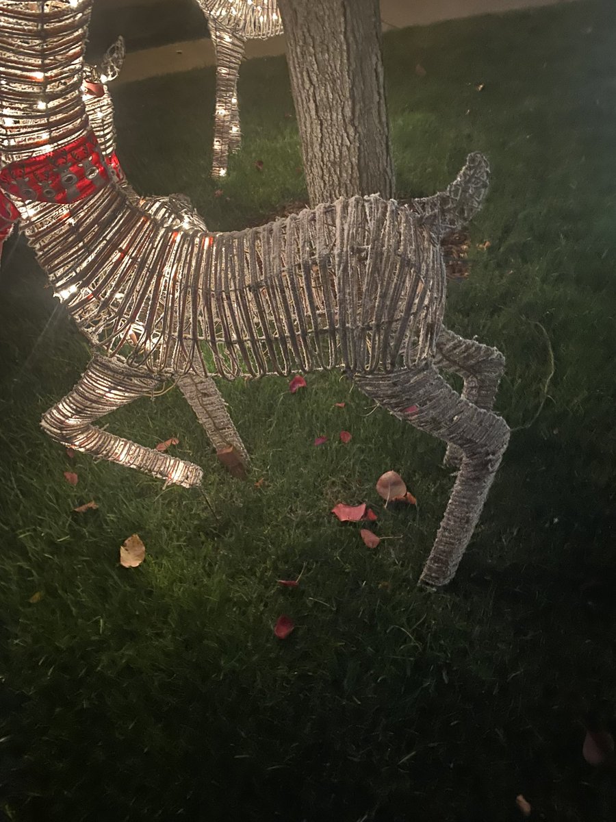 talianko's tweet photo. @Lowes We purchased DEFECTIVE Holiday Reindeer from the San Clemente store and were told we needed to contact GE Holiday directly.  GE has been unresponsive. In fact, you can't even speak to a human. We’ll NEVER purchase another decoration through Lowe's.  It’s junk! https://t.co/9ioyawqraz