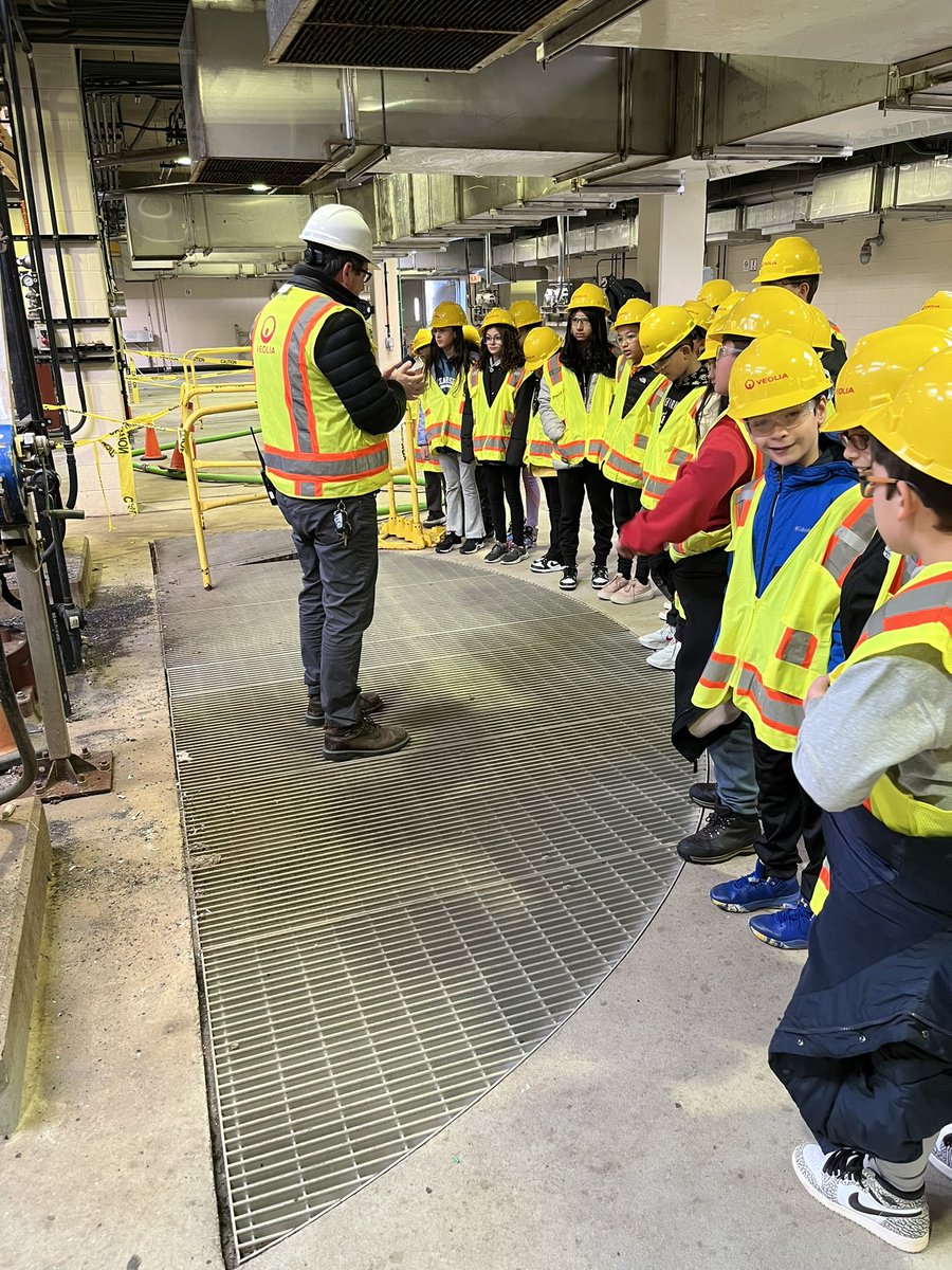 Ramona D'Aulisa tweet media