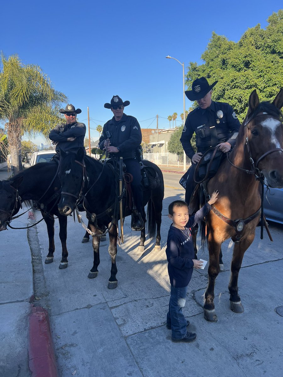 At Newton Division, we travel by car, bicycle, helicopter, motorcycle, footbeat and even by horse to protect and serve our community. #LAPD