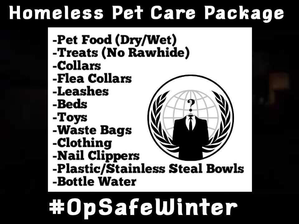 #Anonymous #OpSafeWinter
In many areas, winter is a season of bitter cold and numbing wetness. Make sure our four-footed family members stay safe
Over 10% of the homeless population have pets, with estimates of 70 million homeless dogs and over 60 million homeless cats