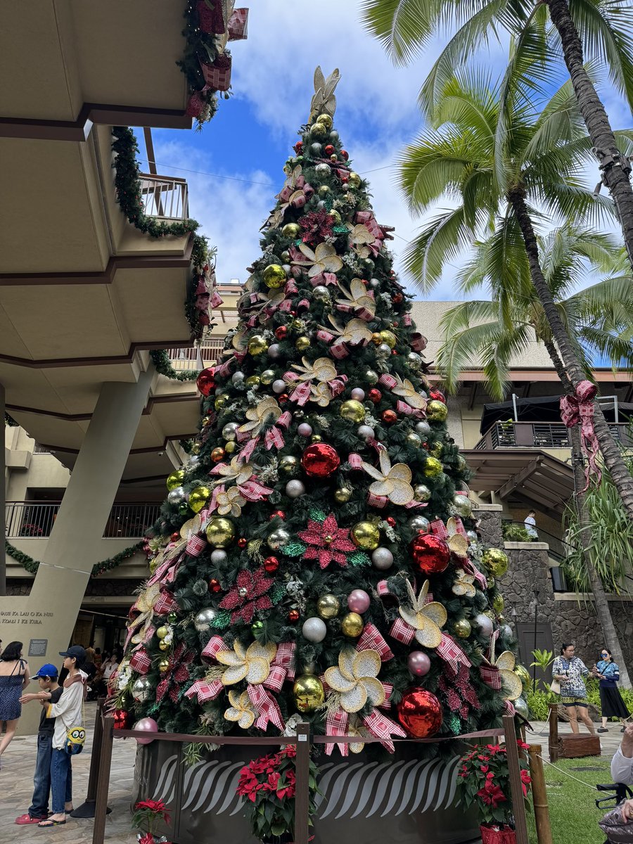 ymgatt7's tweet photo. 冬休みハワイにも行きましたとさ。
クリスマスをハワイで過ごしました🌺 https://t.co/KdDyXiCQzz