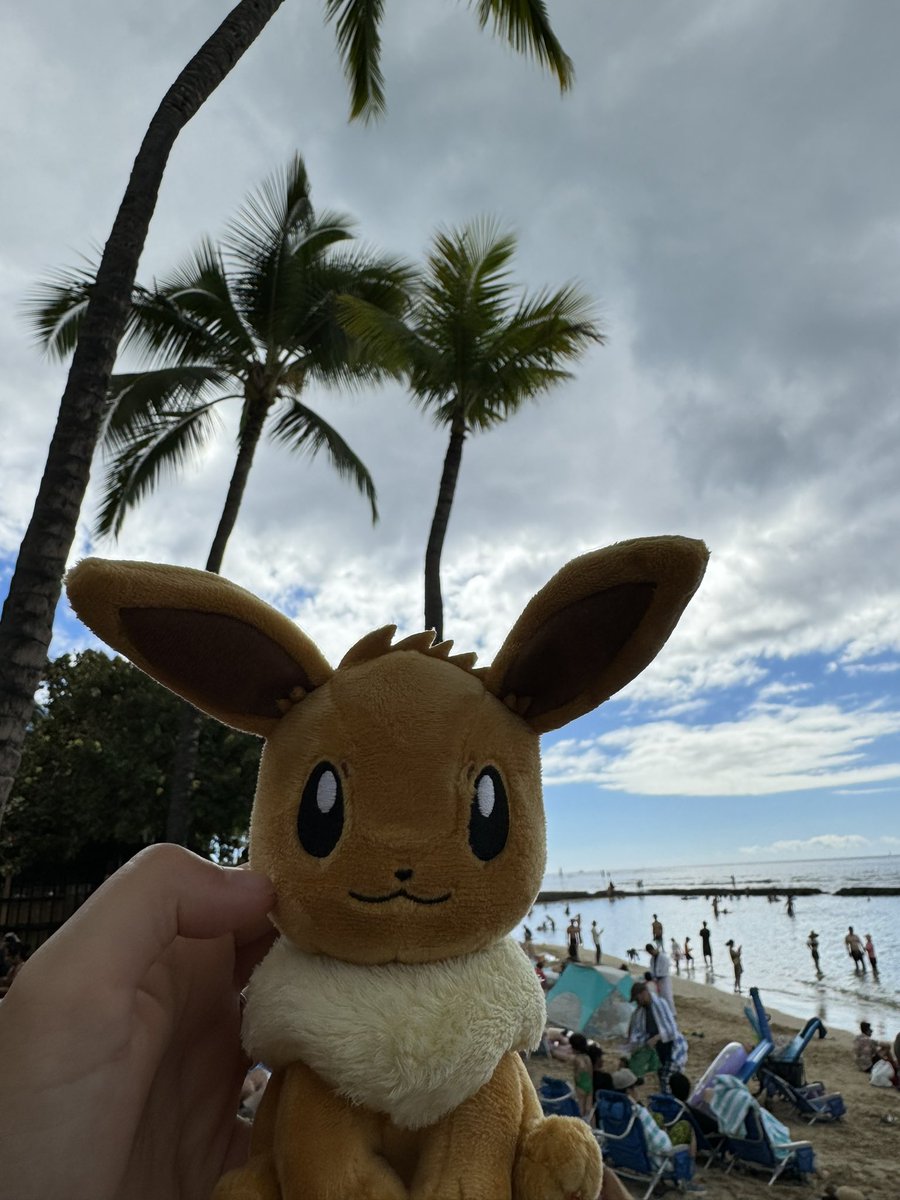 ymgatt7's tweet photo. 冬休みハワイにも行きましたとさ。
クリスマスをハワイで過ごしました🌺 https://t.co/KdDyXiCQzz