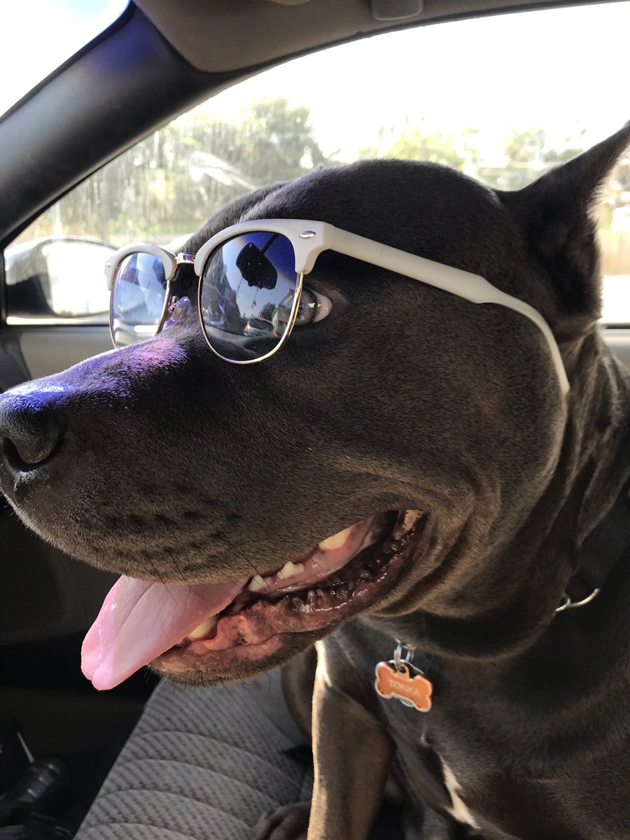 🪏Blake.$STRCH tweet media