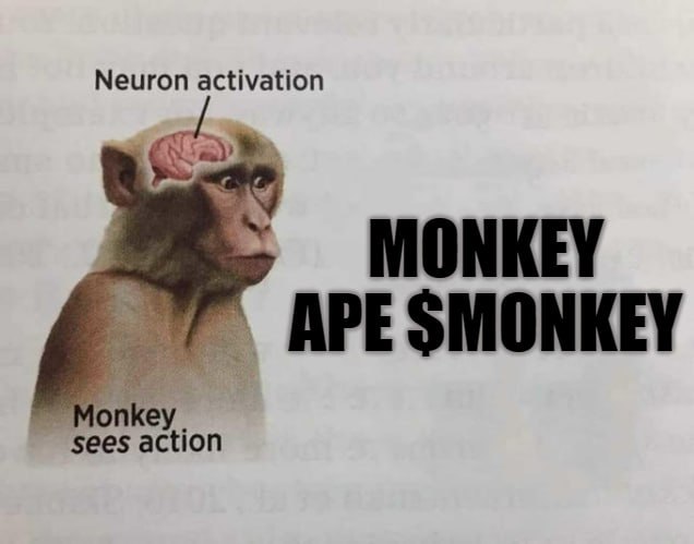 Kuan_0x's tweet photo. @Pauly0x @yugalabs You'll gonna love this $monkey
@monkeyonsol
#monkeyonsol
https://t.co/58aoDgsurL https://t.co/E5fvhqvTOD