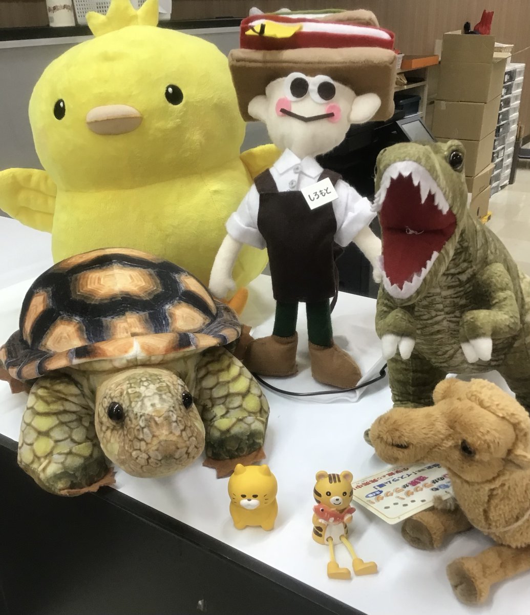 sanyodoshao's tweet photo. 本日の営業をもちまして、
三洋堂シャオ西尾店は、閉店になります。
沢山のお客様からご��店していただけたこと、
毎週通って来店していただいたお客様、
本当にありがとうございました。
これからも皆様が素敵な本と、
巡り合えることを楽しみにしています😊 https://t.co/AXpGn9Nshd