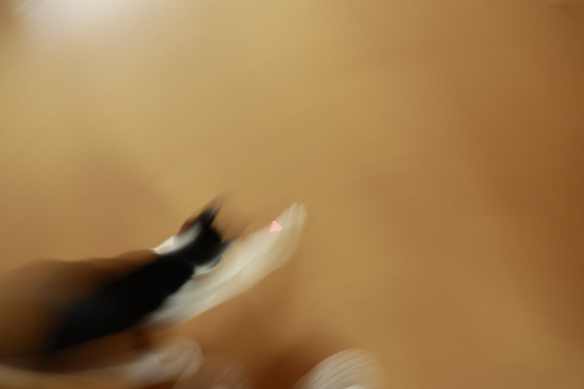 16th_Hirosi's tweet photo. ええの撮れた
#猫の写真へたくそ選手権 https://t.co/tYIQ4sxItO