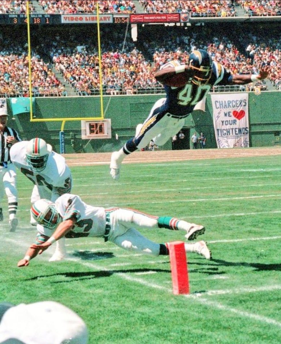 Mr. Ducks #2 tweet media