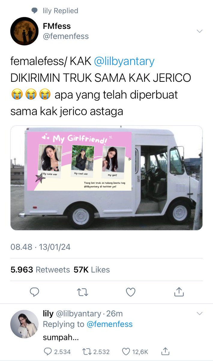 libby tweet media