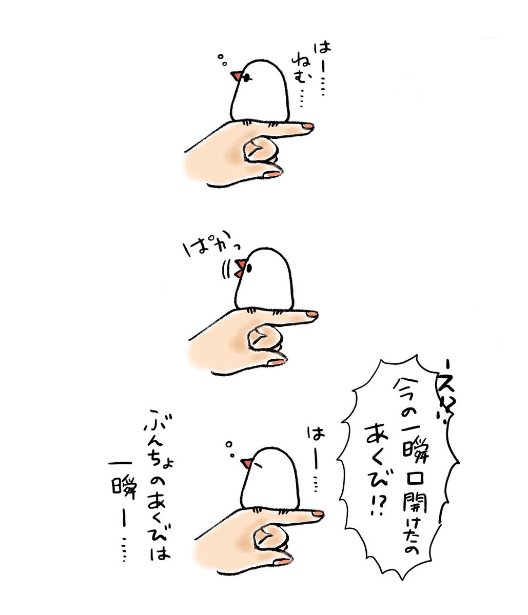 ぶんちょのあくび 