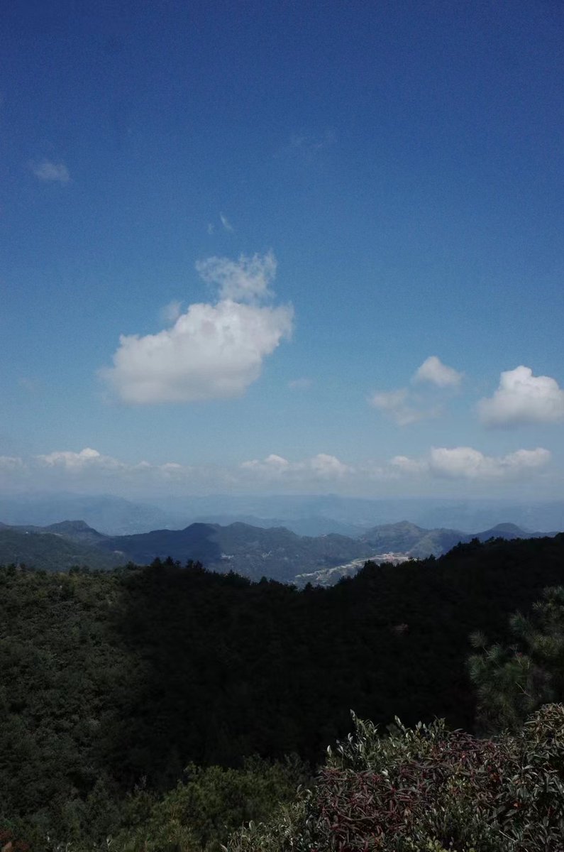 zhqi24962360's tweet image. ⛰️ 走近自然的时候，自然也走近我
🚶 陪自己徒步
#wenzhou #gohiking