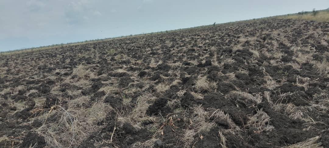 cwmasiga's tweet photo. We are preparing the garden for cultivation. We hope to contribute to more food, feed, fibre and fuel for the world in a Climate Smart way. Cheers to our ever hardworking team of dedicated workers. Thanks Fred Mazune, Fred Waniala, Martin Nambale, Demas Kutosi, Robson Aine, etc https://t.co/YlNFe5nEaZ