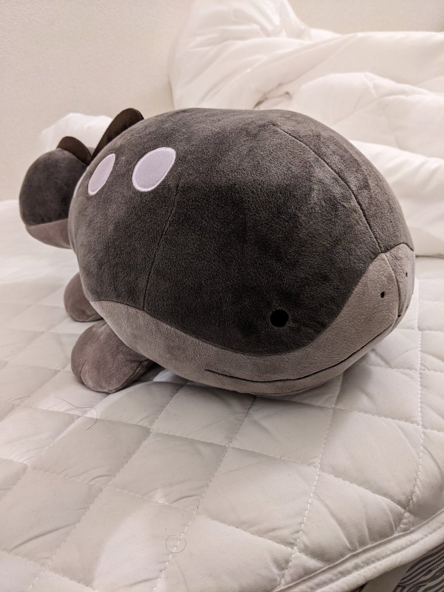 TestosterownDFS's tweet image. ドオー届いたぜ