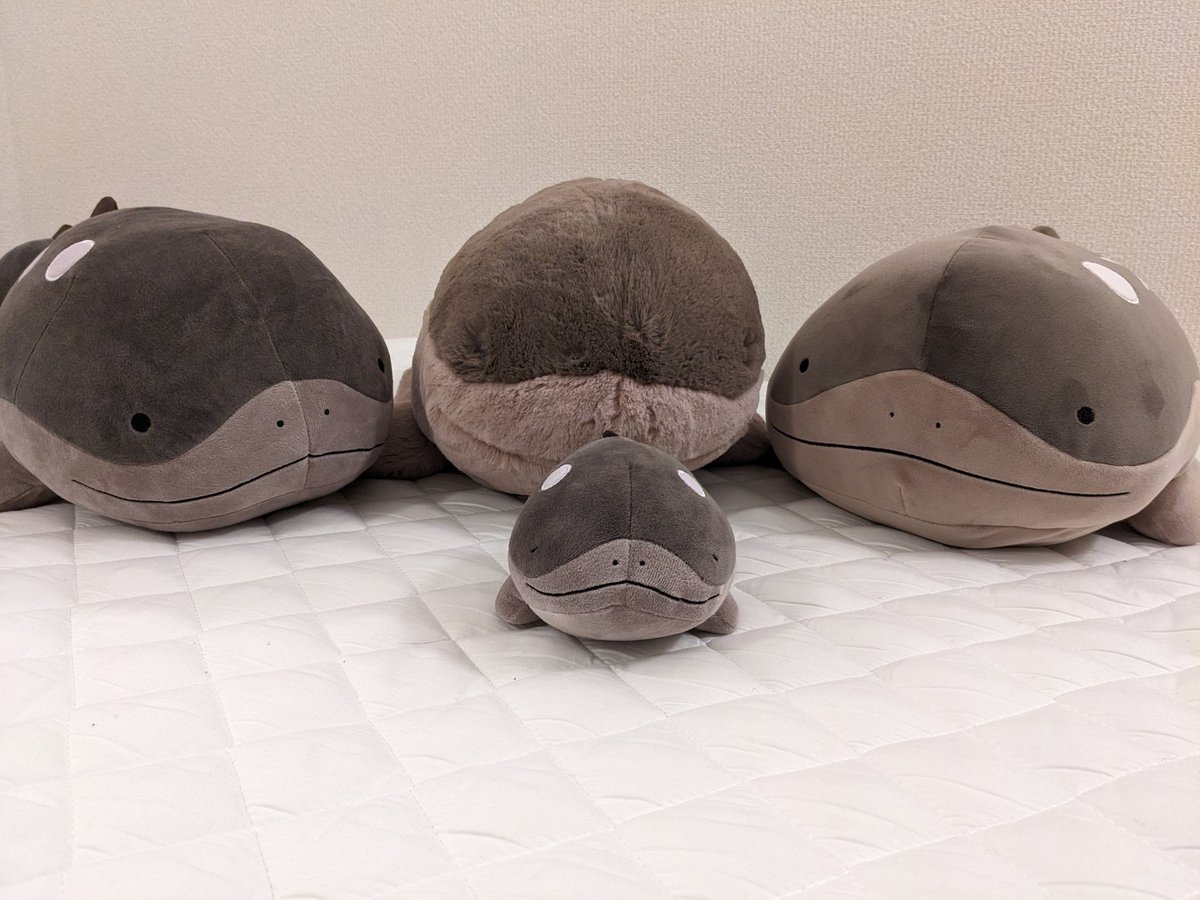 TestosterownDFS's tweet image. ドオー家族写真