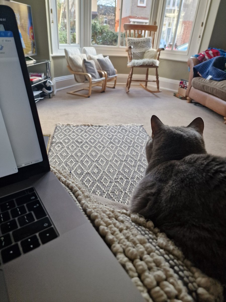 Have a friend joining me to proof read current grant application. She doesn't normally do this. Must sense the tension!!