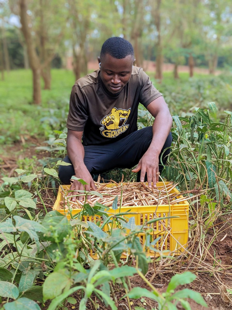 MikeAgrow's tweet photo. Forget muddy boots and backbreaking labor. Think AI-powered robots tending vertical gardens, drones surveying nutrient levels, and lab-grown meat changing the protein game. it.#AgritechRevolution #JoinTheFarm #FoodTech #NextGenFarmers #BillionaireSeeds https://t.co/UqsNGCL6rQ