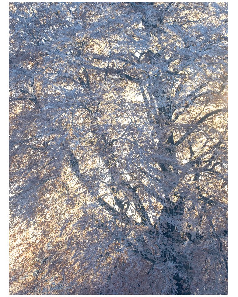 Roger Kristiansen Photography tweet media