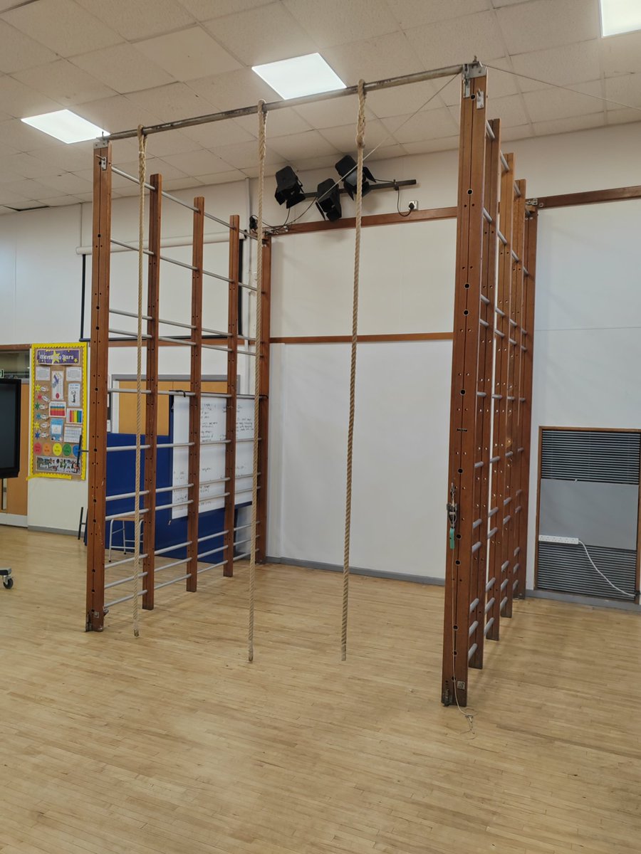MrLMalkin's tweet photo. I brought this bad boy out of retirement this week for PE, and yes I did put lots of mats down. The children were so excited. #MenTeachPrimary #PE #HealthandWellbeing https://t.co/qhlb10NZ0F