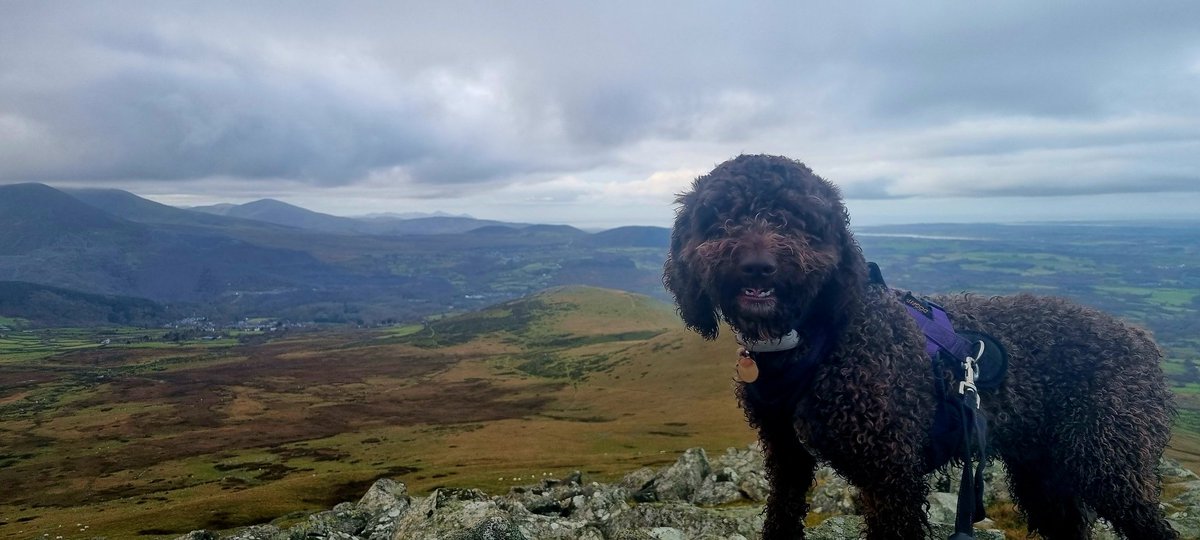 Rosemary Byde tweet media