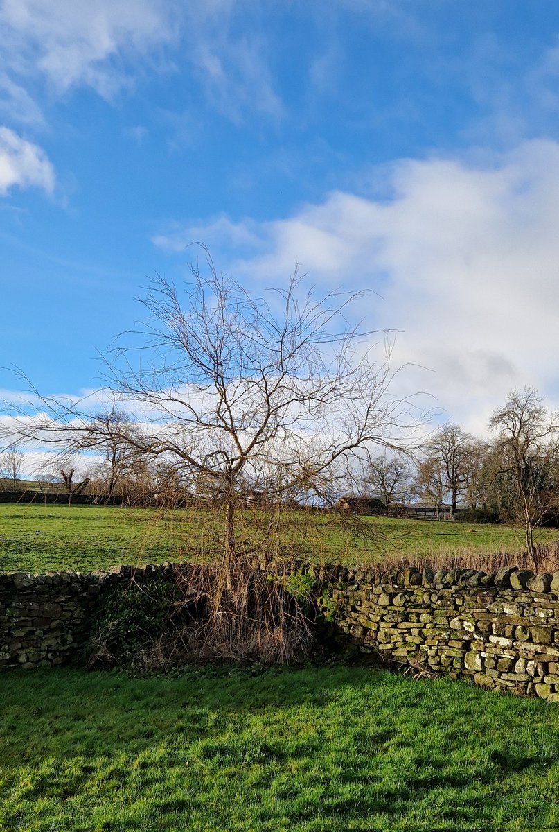 stu_blackburn's tweet image. Beautiful morning ☀ #teesdale #mickleton