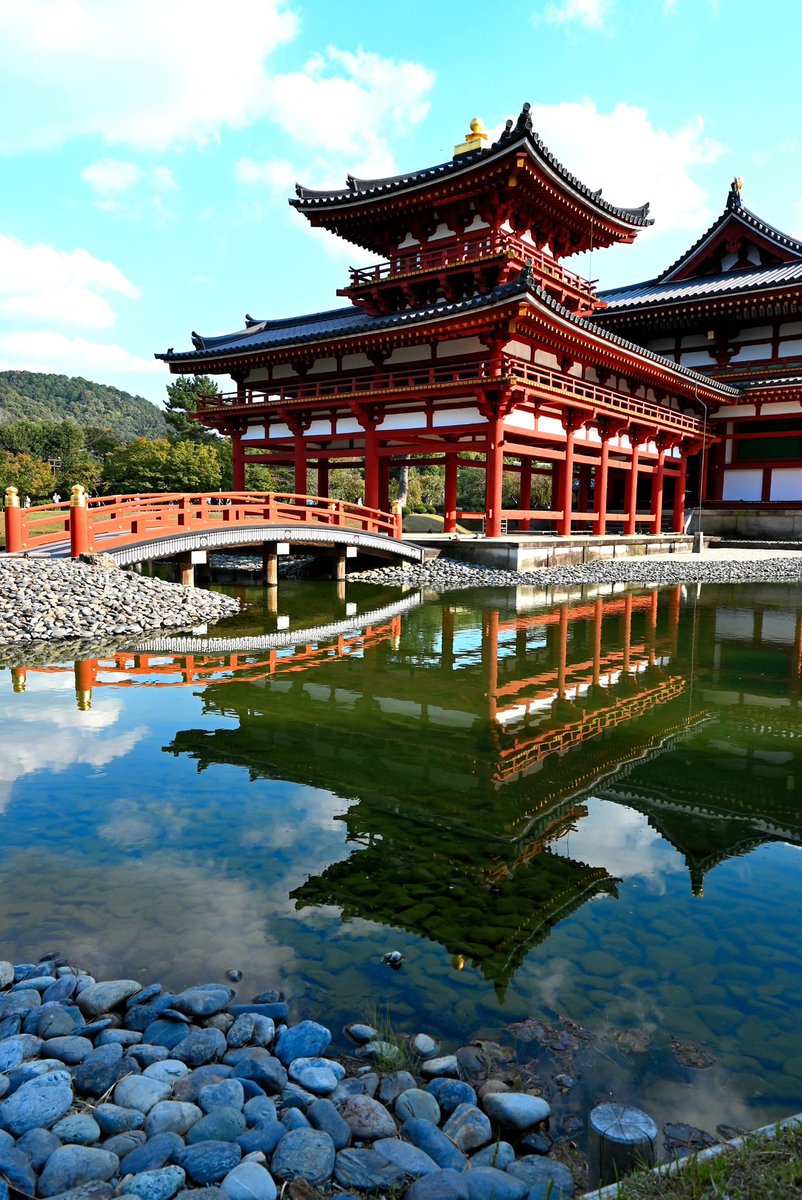 Tripletree_32 tweet picture