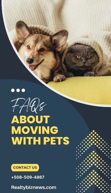 7 Frequently Asked Questions About Moving With
Animals
bit.ly/3HiloeZ

#spanishrealestate #homesinspain