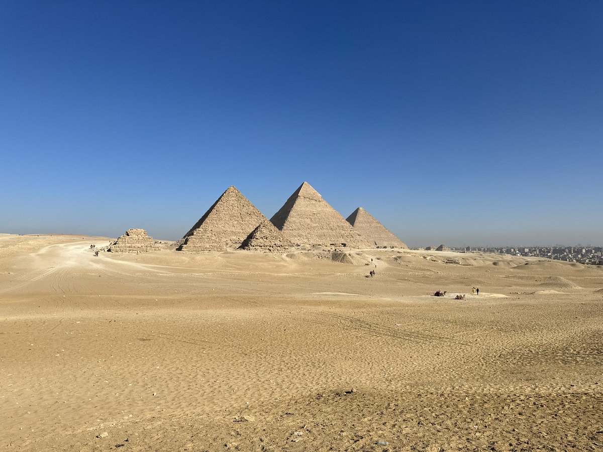 AlexGupta's tweet image. 