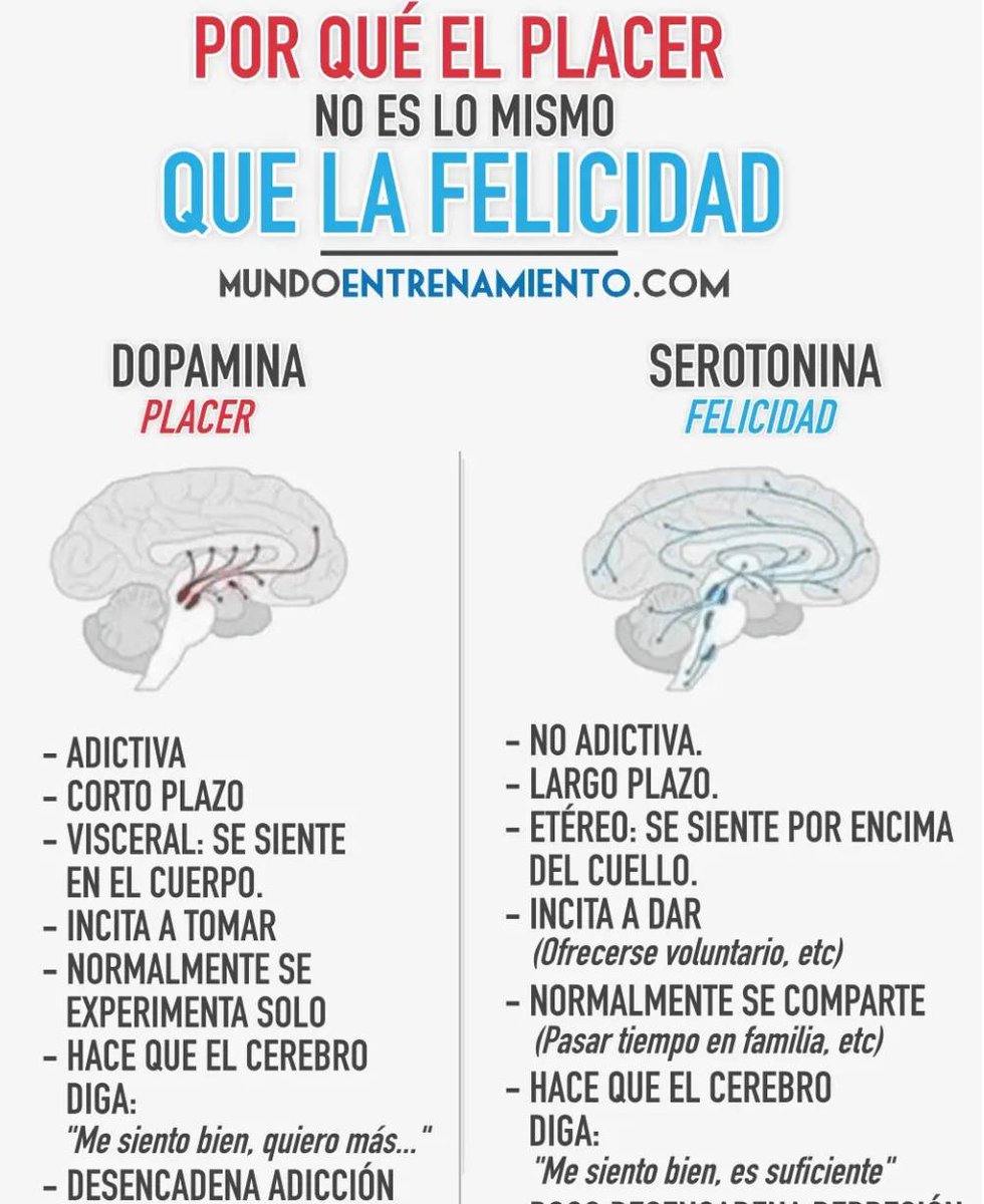 virginiog's tweet photo. Placer y Felicidad son diferentes con sus áreas cerebrales y neurotransmisores 

La dopamina neurotransmisor del placer que se relaciona con estimulos que generan recompensa a corto plazo

La serotonina lo está con la felicidad más relacionado con bienestar, la plenitud y dar https://t.co/5hPzr7Eh1V