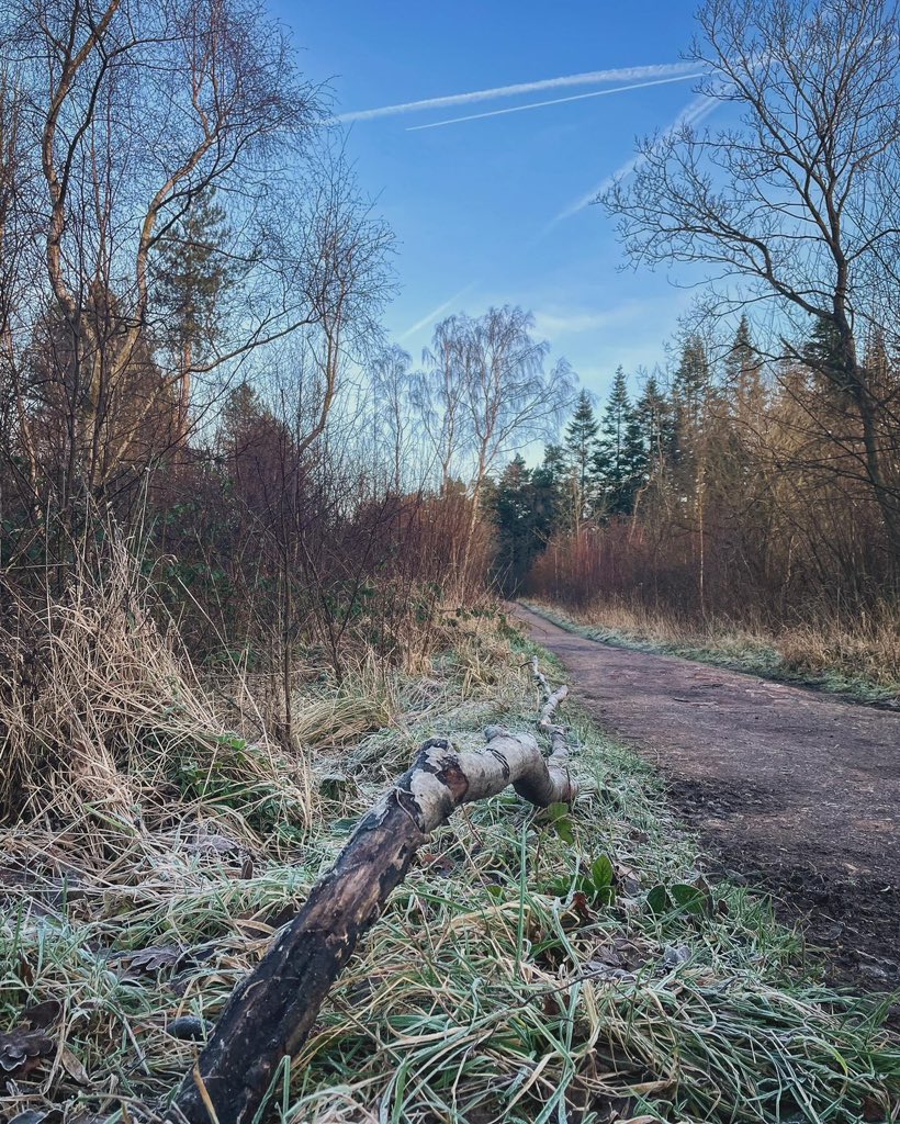 Gorgeous morning run!👊🏻 #solorun #running #trailrunning #metime #happyplace #motivation #wellbeing