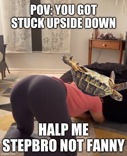 USDT_Solana's tweet photo. turn aoun bls?
#USDT #UpSideDownTurtle #Solana https://t.co/10Ow6QRQOC