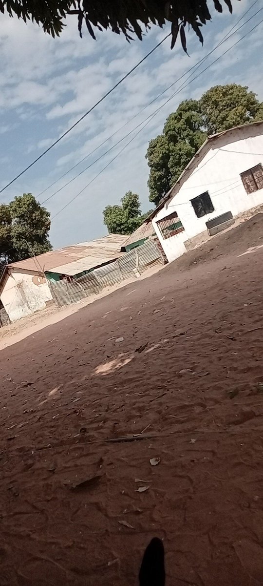 Malang (@malang004373821) on Twitter photo 