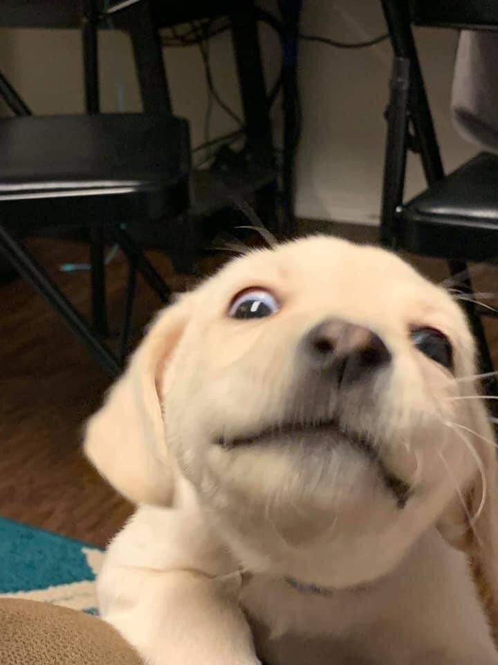 estudanteva's tweet image. vá pro pinterest.  

"seu nome core" 
"seu nome baking" 
"seu nome autumn" 
"seu nome pets"