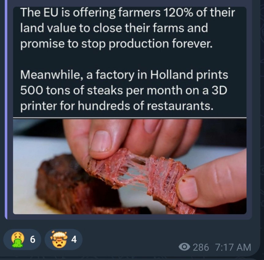 LisaJenkin86841's tweet image. #Germanyprotests 
Why?