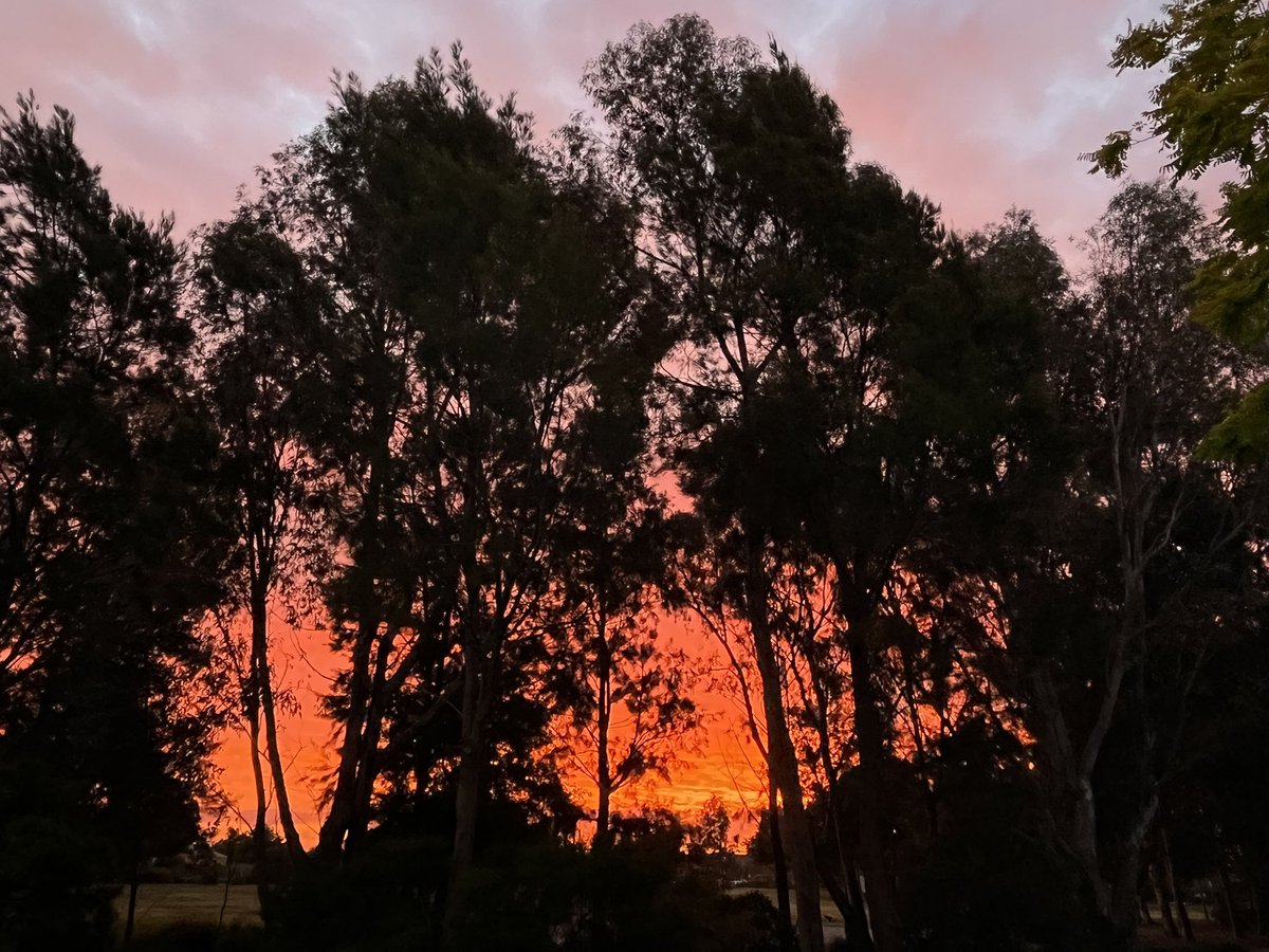 MVEG001's tweet photo. @LoveMeredyth @garigalAnj Super impressive! ๐คฉ #StunningSunset https://t.co/oBcHcC7iOB